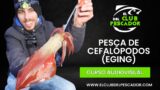 Pesca de Cefalópodos (Eging) (Curso Audiovisual)