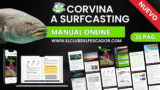 Corvina a Surfcasting (Manual online)