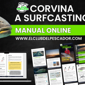 Corvina a Surfcasting (Manual online)
