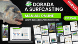 Dorada a Surfasting (Manual Online)