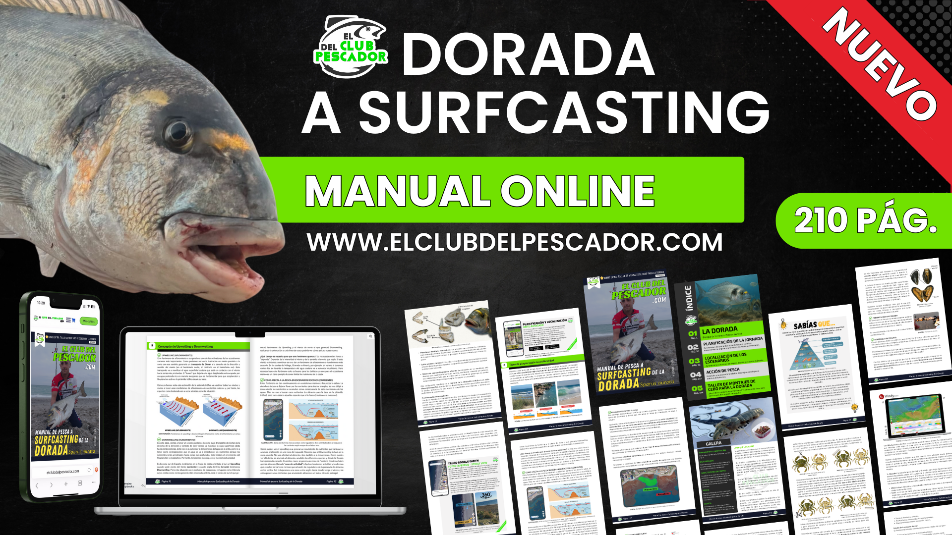 Dorada a Surfasting (Manual Online)