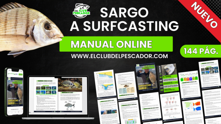 Sargo a Surfcasting (Manual online)
